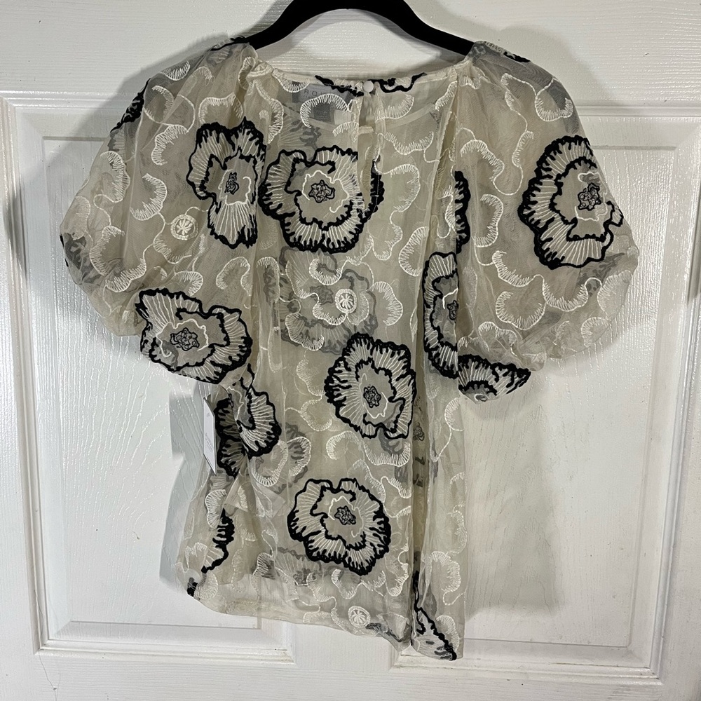 See through Laundry top